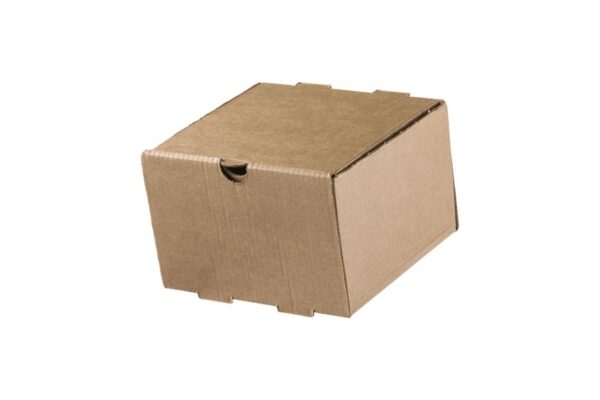Kraft Paper Food Boxes for Single Burger Plastic Free | TESSERA Bio Products®