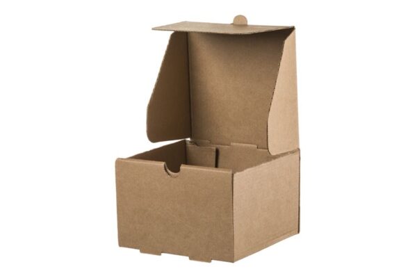 Kraft Paper Food Boxes for Single Burger Plastic Free | TESSERA Bio Products®