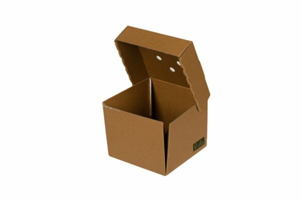 Kraft Paper Food Boxes (Plate) FSC® Square Plastic Free | TESSERA Bio Products®