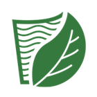 Φύλλα φοίνικα | TESSERA Bio Products®