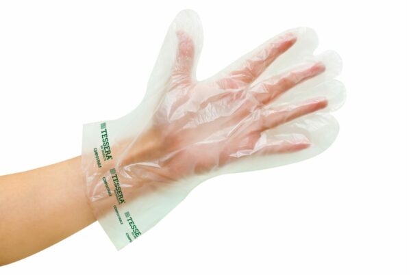 Compostable Gloves Transparent Powder free - Extra Large | TESSERA Bio Products®