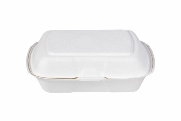 Sugarcane Food Containers 1-Compartment with Hinged Lid | Tessera Sustainable Packaging®