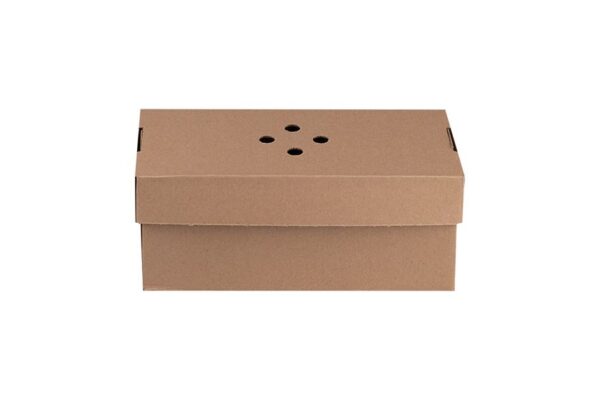 Kraft Paper Food Boxes FSC® (Plate) for Burger with Potatoes | TESSERA Bio Products®