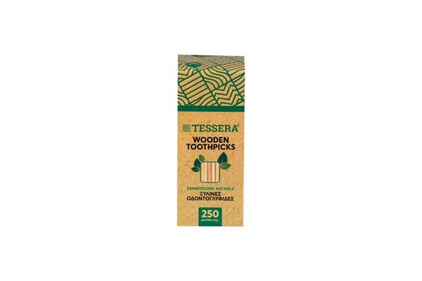 Wooden Toothpicks in Kraft Paper Βοx (250 pieces) | TESSERA Bio Products®