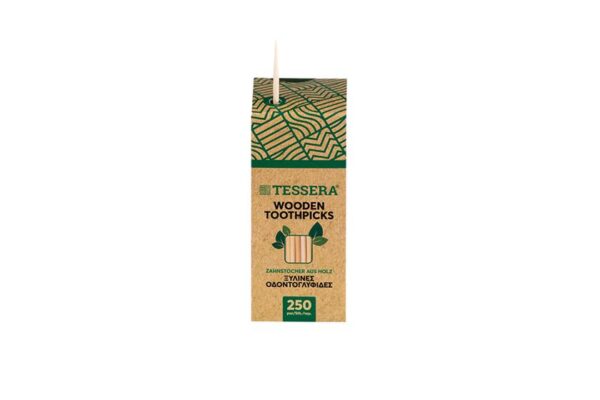 Wooden Toothpicks in Kraft Paper Βοx (250 pieces) | TESSERA Bio Products®
